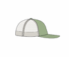 NWT Brewing Axe Sage Snapback