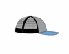 NWT Brewing Axe Carolina Snapback
